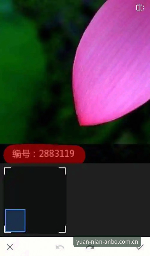安博ANBO旧版登录失败修复哪个好？手把手操作教程